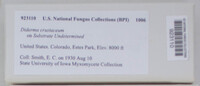 Image Associated With the Occurence